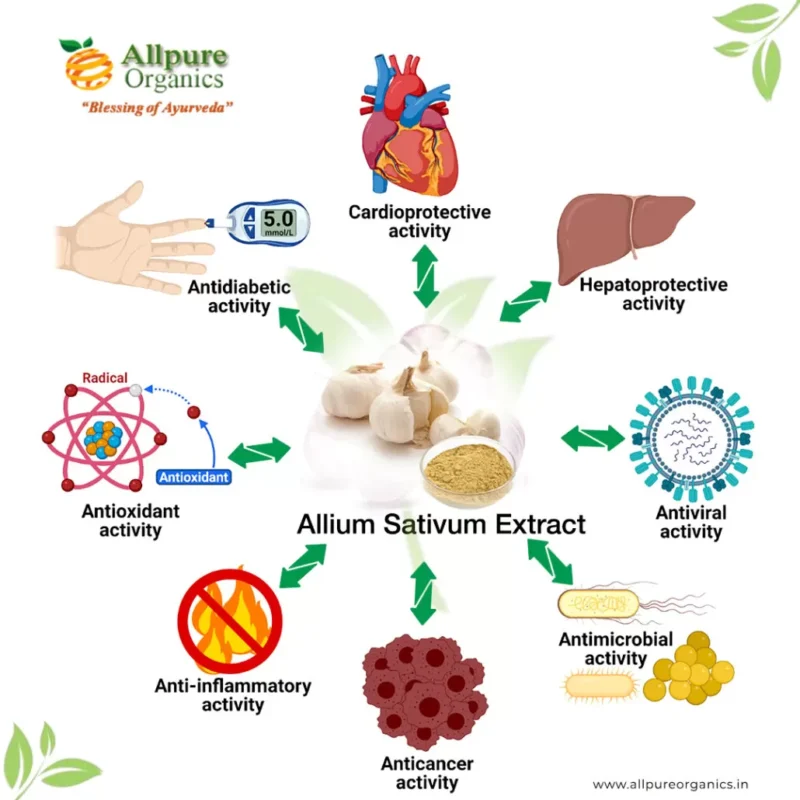 Allium Sativum Extract