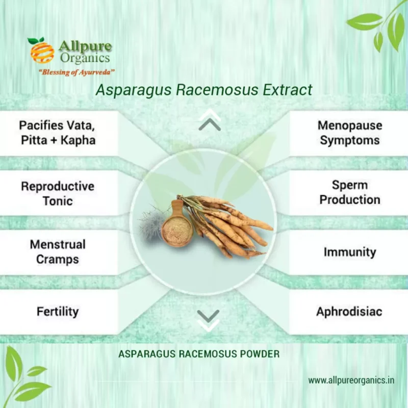 Asparagus Racemosus Extract (Shatavari)