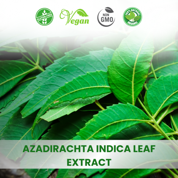 Green Tea extract